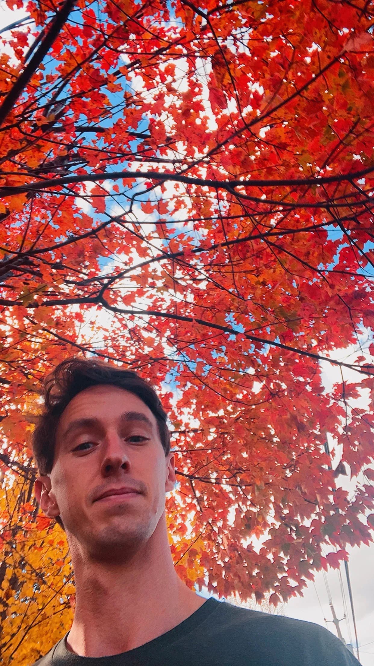 Dylan taking a selfie under red fall leaves on Haywood Road