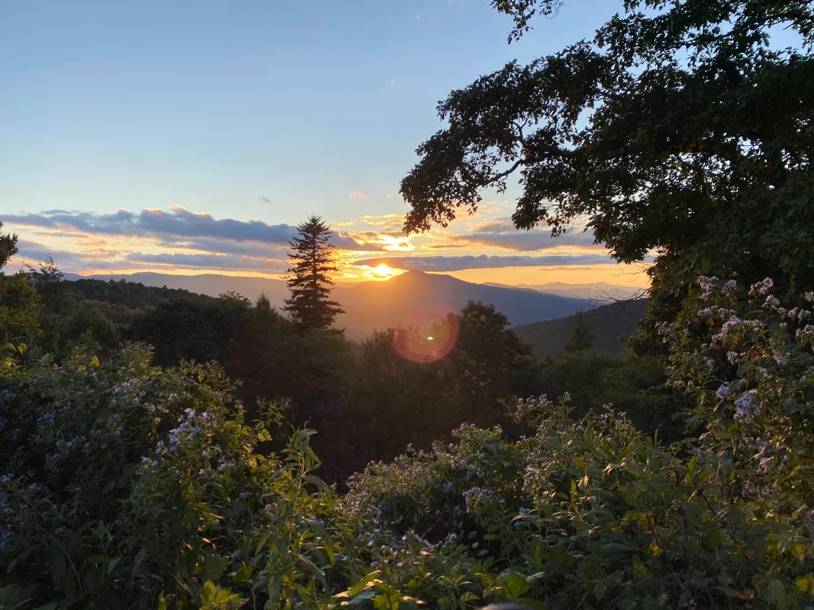 Sun low over distant blue ridges, framed by dark trees, seen from a Blue Ridge Parkway overlook