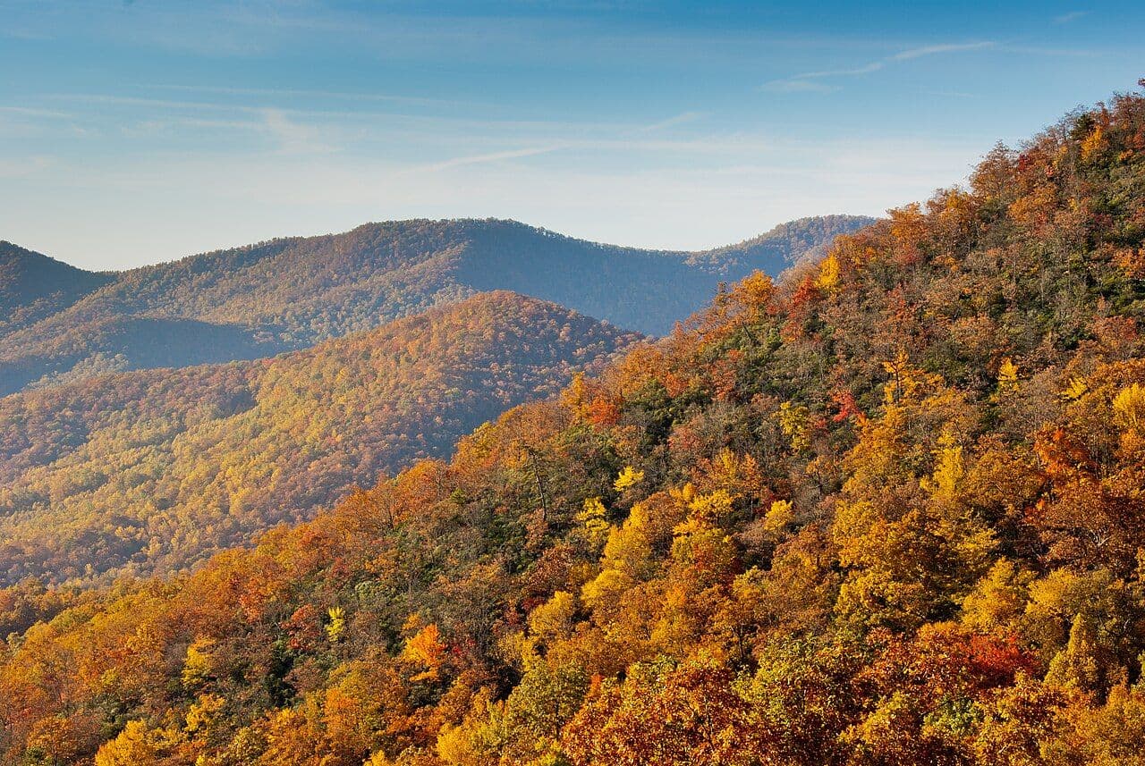 Mountainside covered in orange and yellow fall leaves seen from the Blue Ridge Parkway near Asheville